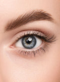 ABSOLUTE BROW GEL