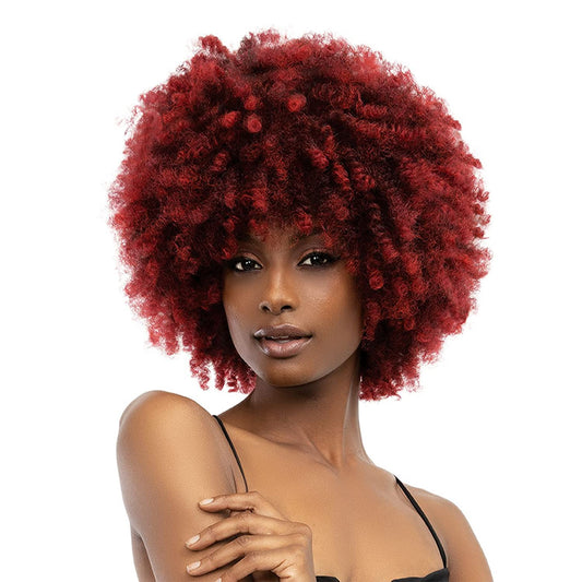 JANET NATURAL AFRO KANE WIG