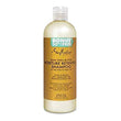 SHEA MOISTURE JAMAICAN BLACK CASTRO OIL 19.5 OZ